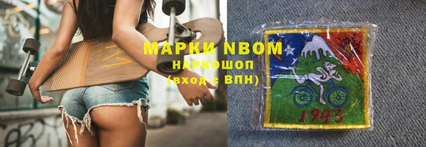 шишки Аркадак