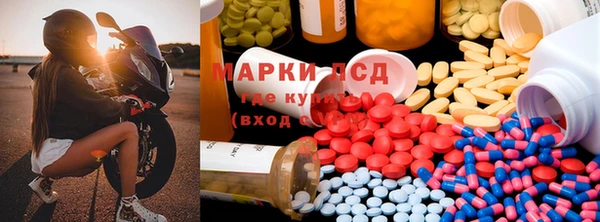 прущие крисы Алзамай