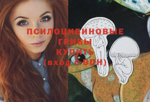 шишки Аркадак