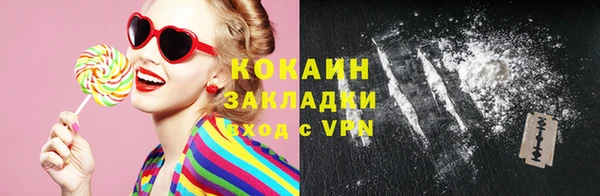 шишки Аркадак