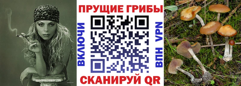 даркнет сайт  Завитинск  Галлюциногенные грибы мухоморы 